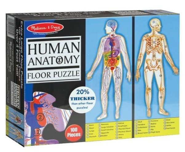 Пазл напольный Строение человека 100 элементов MD445 Melissa and Doug