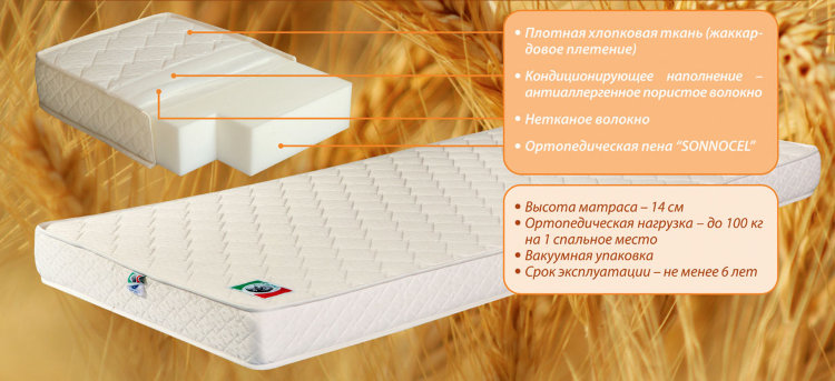 Dormisan Ортопедический матрас Saturn 200х140