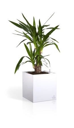 Умный вазон Cubico Flower Lover чёрный 33 л глянцевый PLASTKON