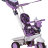 Smart-Trike Велосипед Dream 4 в 1, фиолетовый