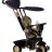 Smart-Trike Велосипед Dream 4 в 1 limited edition, золотой