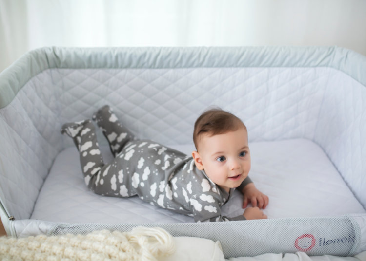 Приставная кроватка Theo dark grey Lionelo