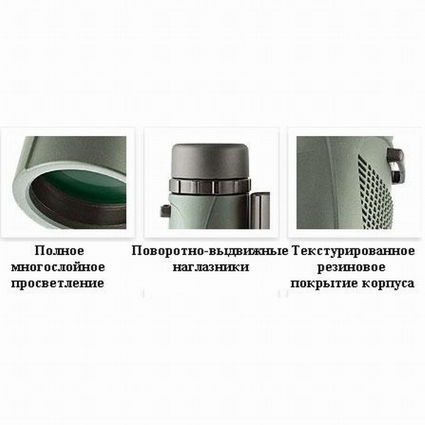 Hawke Бинокль Endurance PC Green 10x42, 920831
